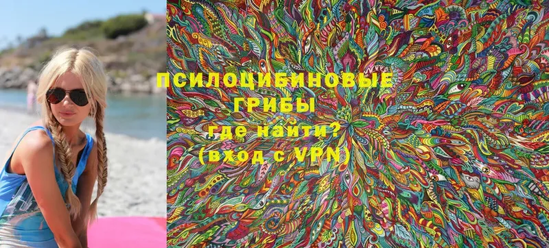 Псилоцибиновые грибы Psilocybine cubensis  магазин  наркотиков  Анапа 